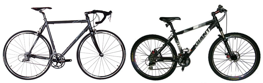 should i get a mountain bike or road bike