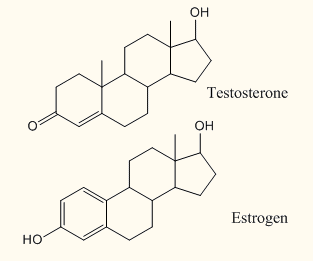 Testosterone molecular structure