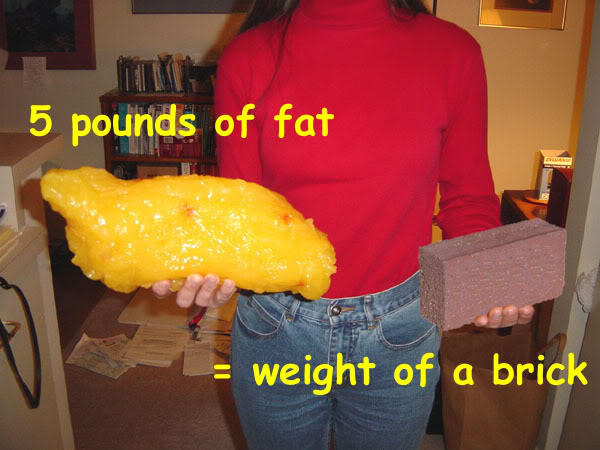 2 Kilos Of Fat