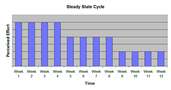 Image result for low-intensity steady state training