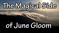 The Magical Side of June Gloom
