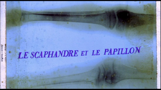 le scaphandre et le papillon 