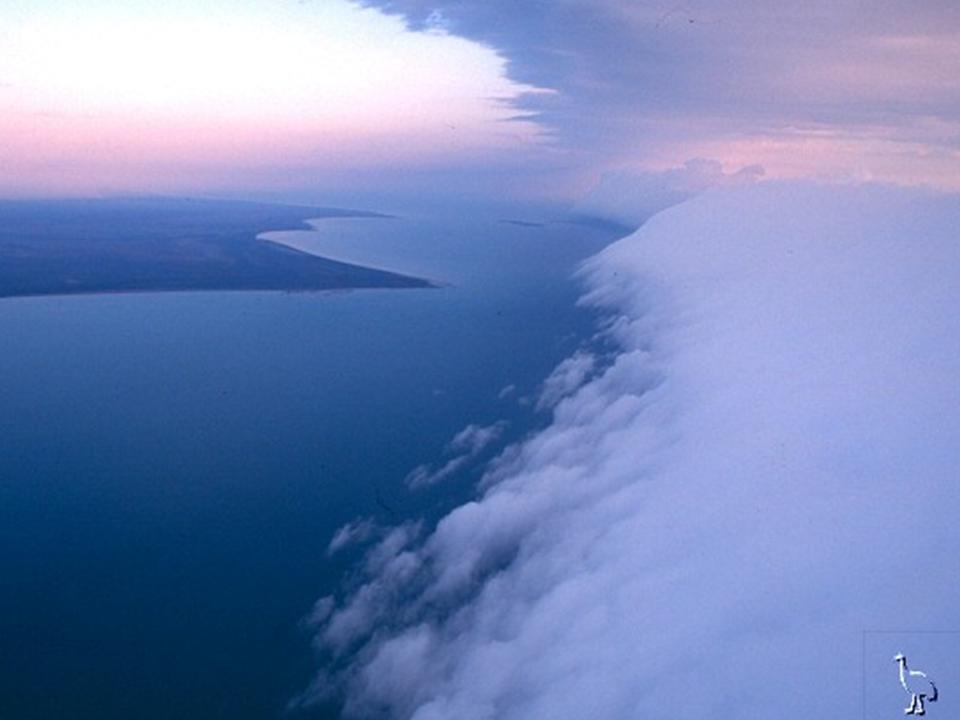 morning glory cloud