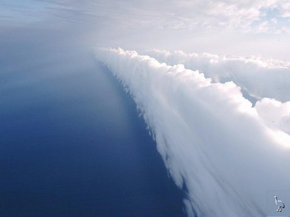 morning glory cloud hang gliding