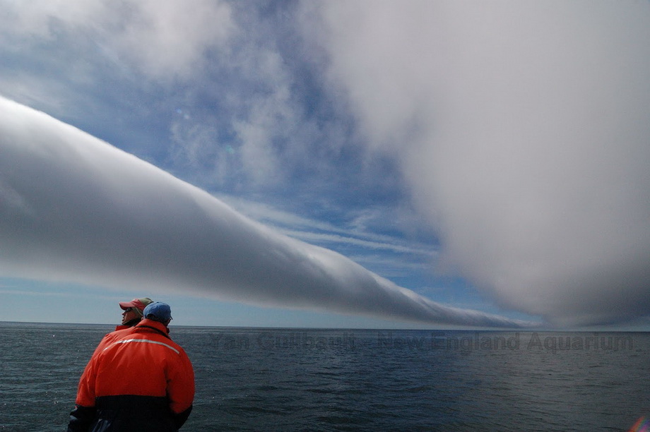 morning glory cloud