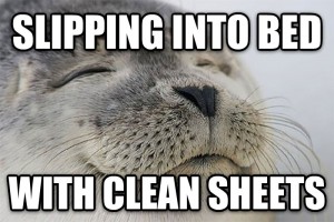 satisfied seal clean sheets