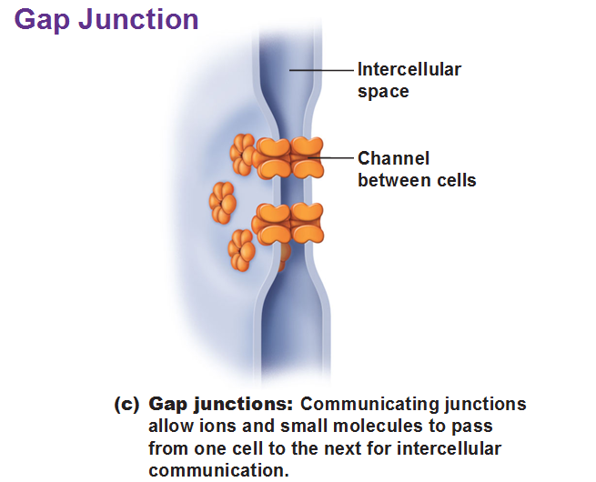 cells of the same type join together