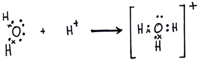 Water + Hydrogen forms into hydronium. hydronium h3o dot structure. 