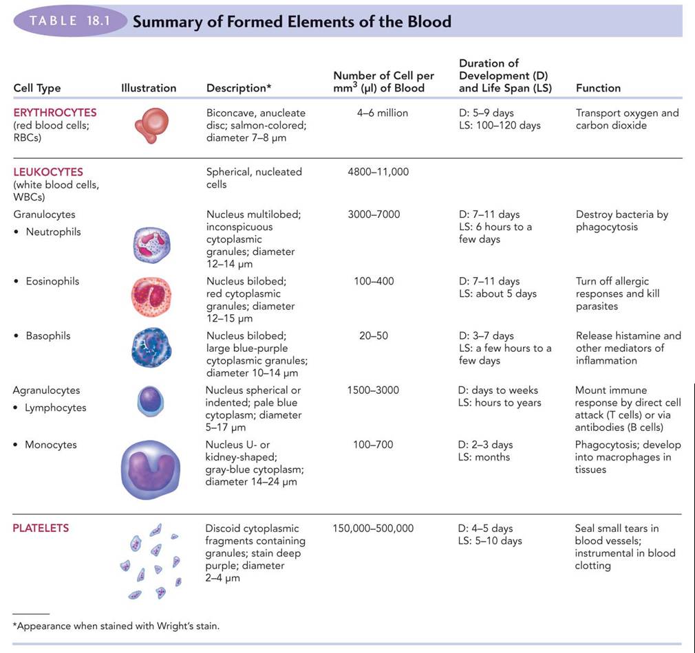 Blood Type Agglutination Chart