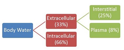 Fluid Compartments within the Human Body - Antranik.org