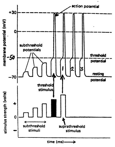 Subthreshold electrical stimulation as a low power electrical