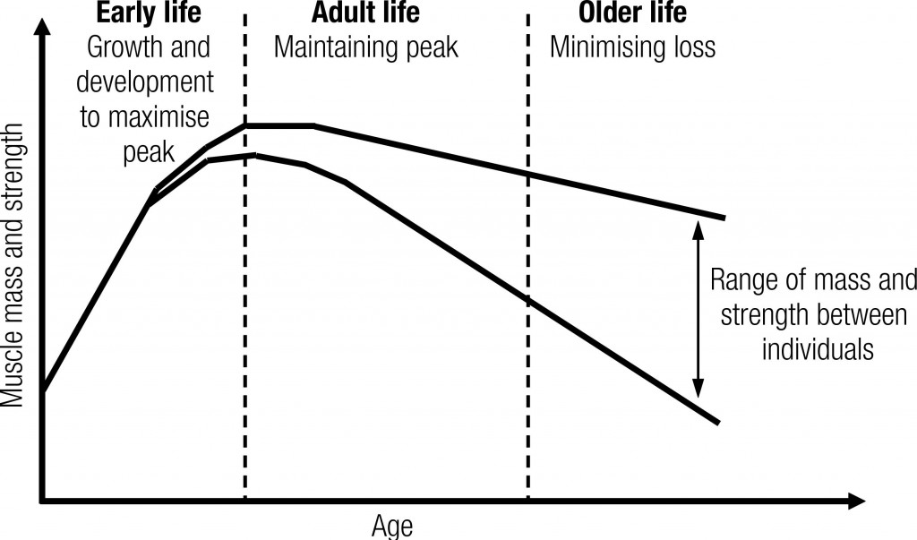 sarcopenia prevalence