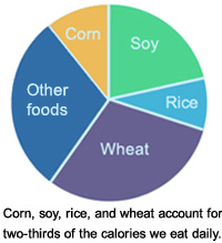 Pie chart showing two-thirds of the calories we consume come from corn, soy, rice, and wheat.