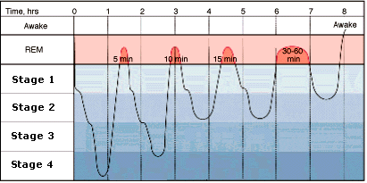 when does deep sleep occur