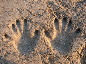 hands in sand