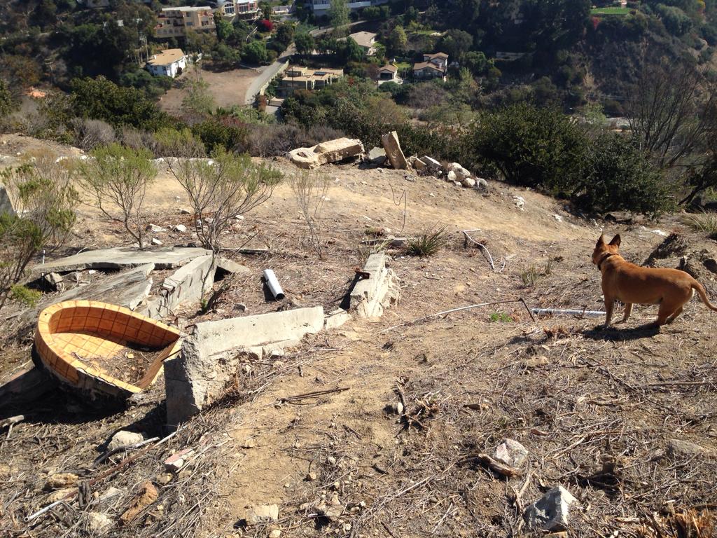 medax checking out the ruins of malibu