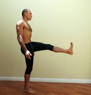 Simple Active Flexibility Test: While standing, raise one leg up to 90 ...