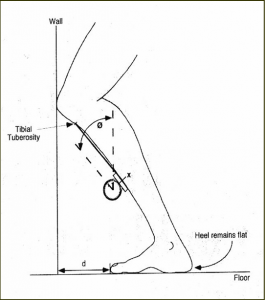 A distance of less than 10 cm between the wall and toe is considered restricted ankle dorsiflexion.