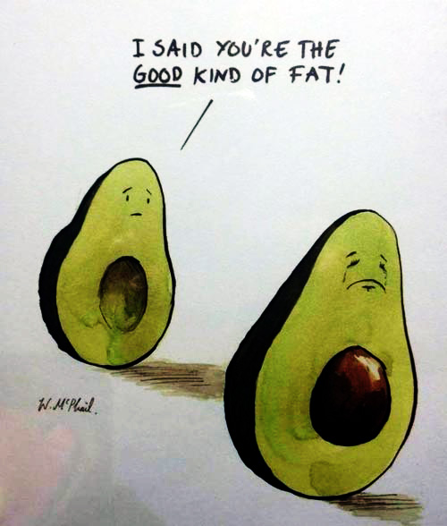avocado-good-kind-of-fat