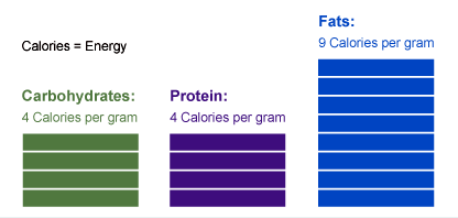 graph_energy_scale