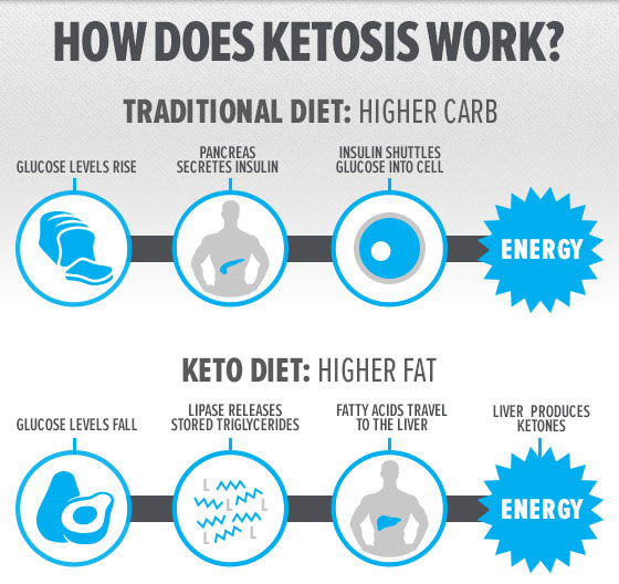 in-depth-look-at-ketogenic-diets-and-ketosis_07