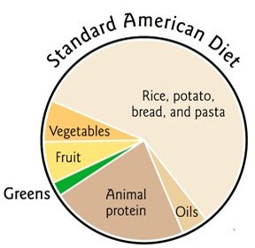 standard american diet